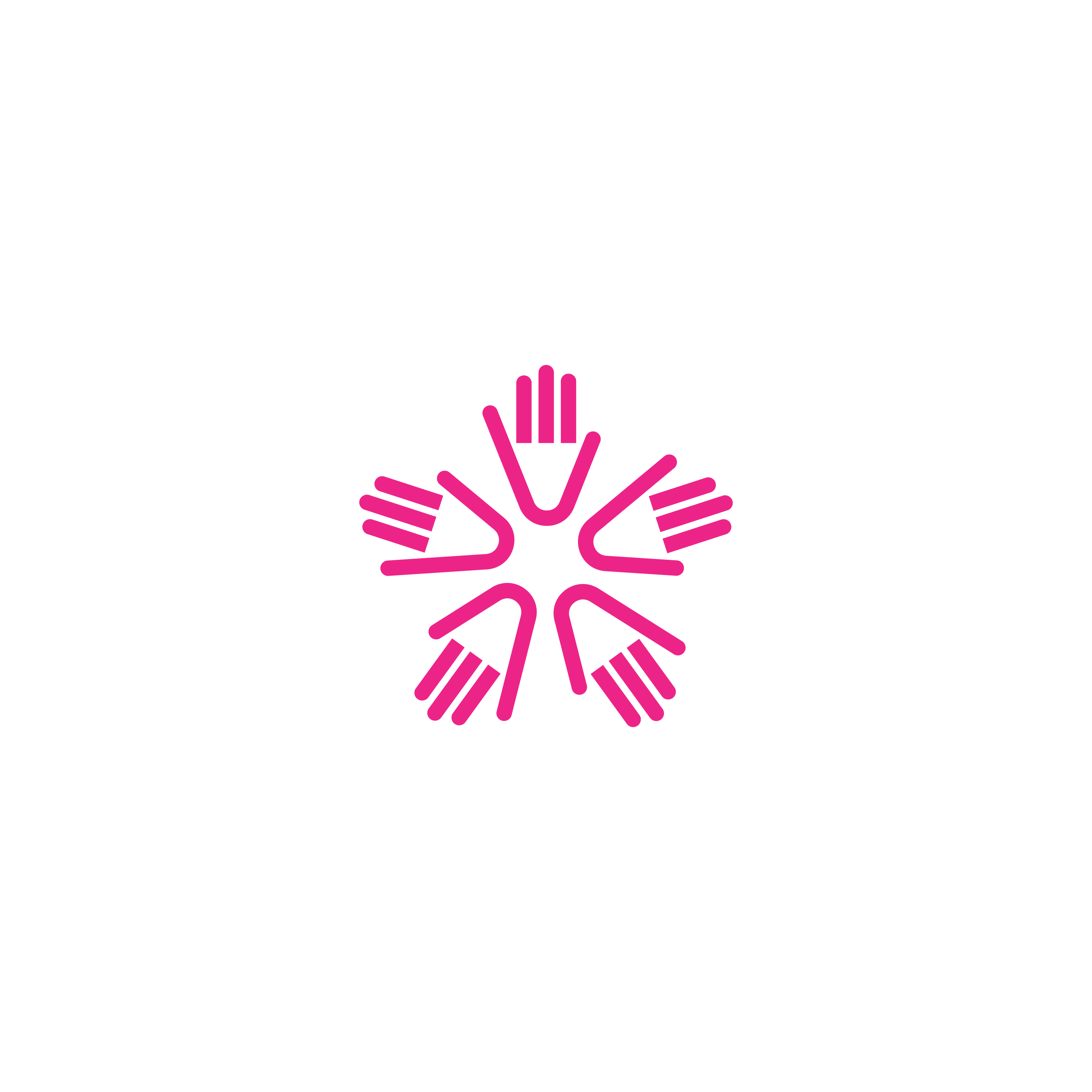 High Five Endurance Logo